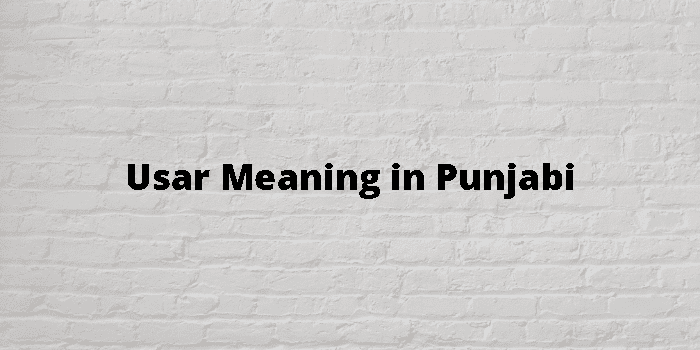 usar-meaning-in-punjabi