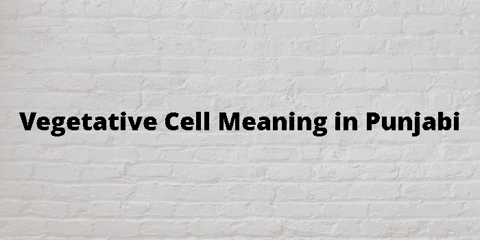 vegetative-cell-meaning-in-punjabi