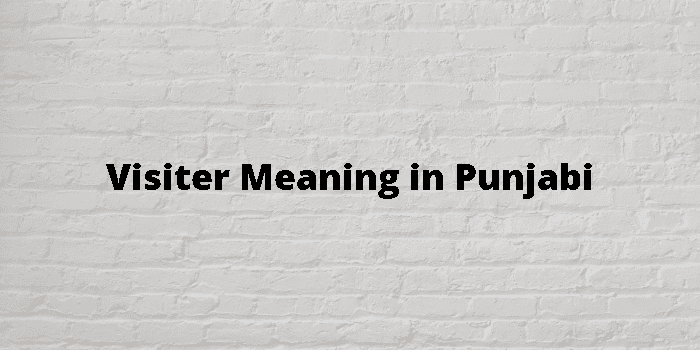 formal visit meaning in punjabi