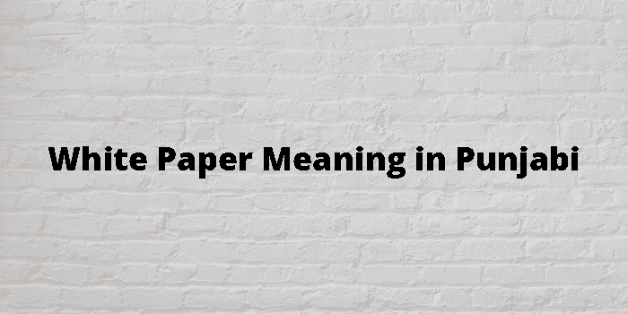 white-paper-meaning-in-punjabi