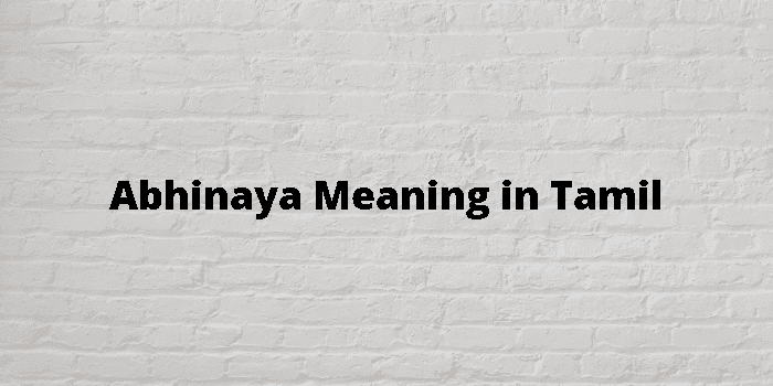 abhinaya-meaning-in-tamil