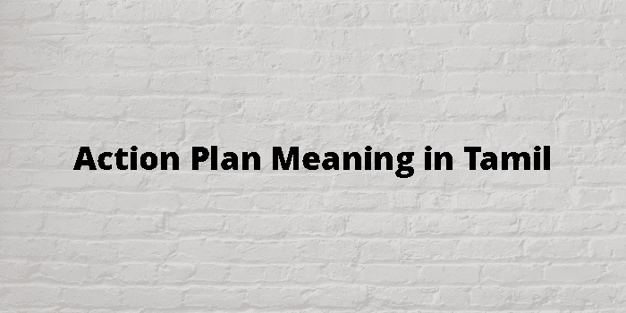 action-plan-meaning-in-tamil