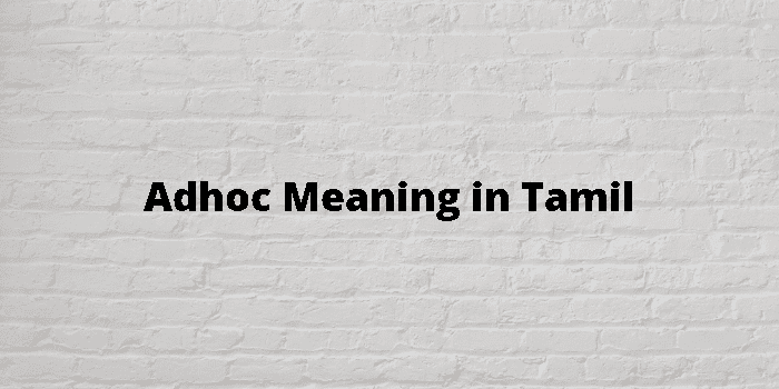 adhoc-meaning-in-tamil