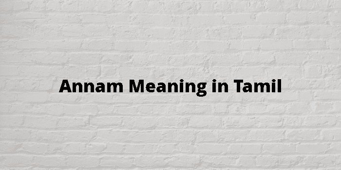 Annam Meaning In Tamil - தமிழ் அர்த்தம்