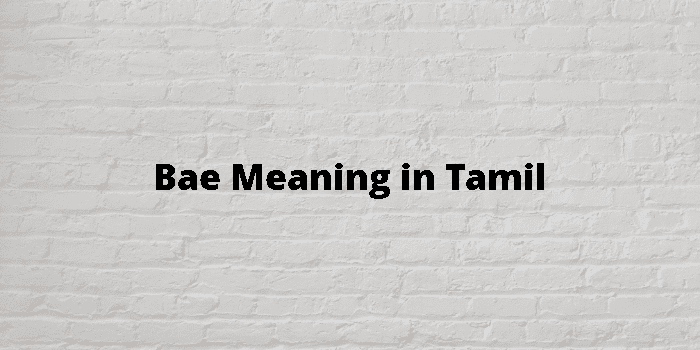 bae-meaning-in-tamil