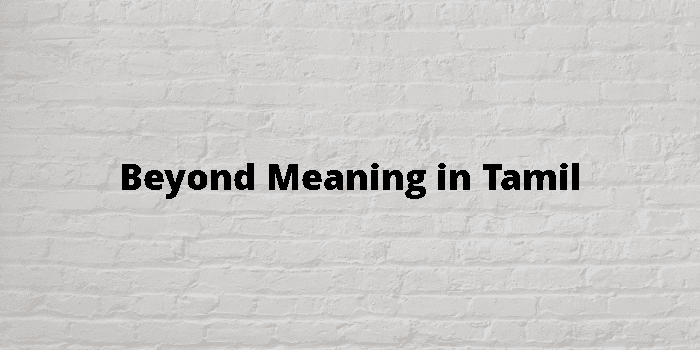 beyond-meaning-in-tamil