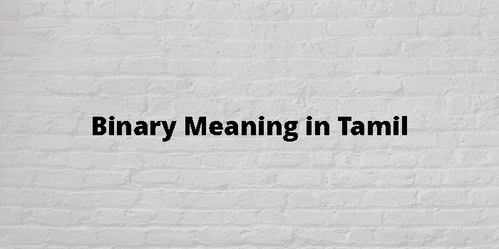 binary-meaning-in-tamil