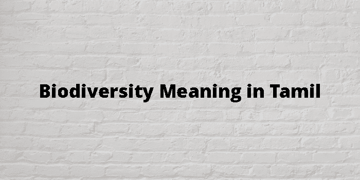 meaning-importance-of-biodiversity-i-marathi-i-53-off