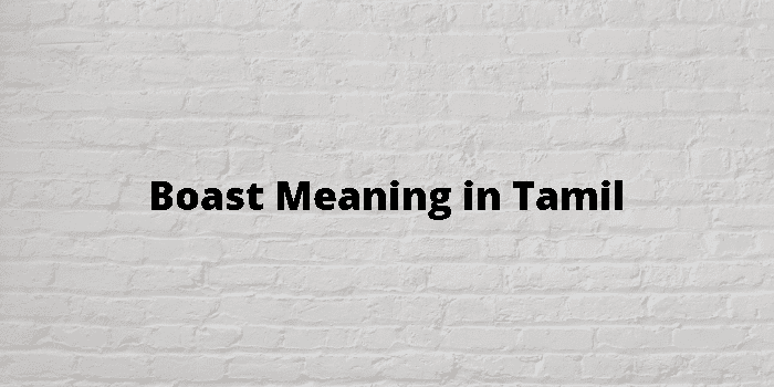 boast-meaning-in-tamil