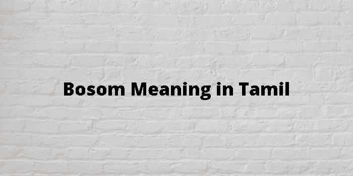 Bosom Meaning In Tamil