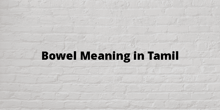 loss of bowel control meaning in tamil