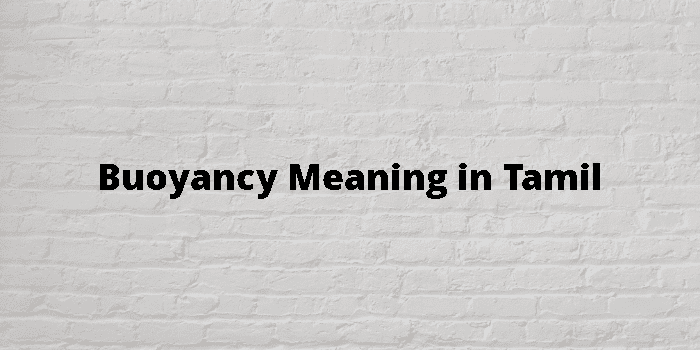 buoyancy-meaning-in-tamil