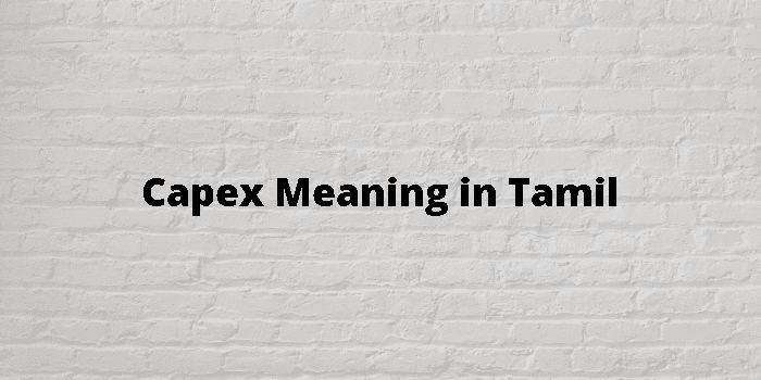 Capex Meaning In Tamil