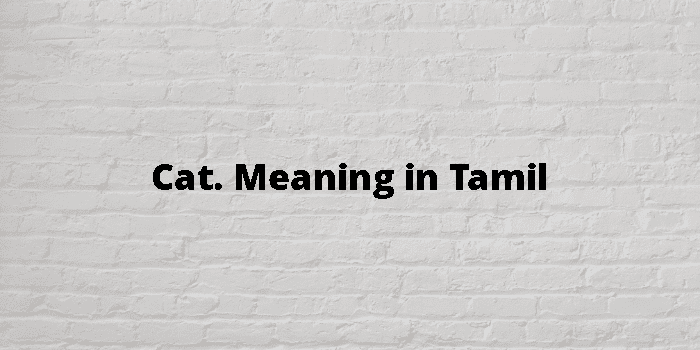CAT CALLING MEANING IN TAMIL visual data 7