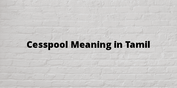 Cesspool Meaning In Tamil - தமிழ் அர்த்தம்