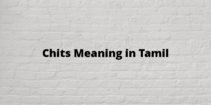 Chits Meaning In Tamil - தமிழ் அர்த்தம்