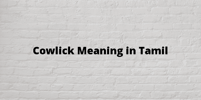 cowlick-meaning-in-tamil