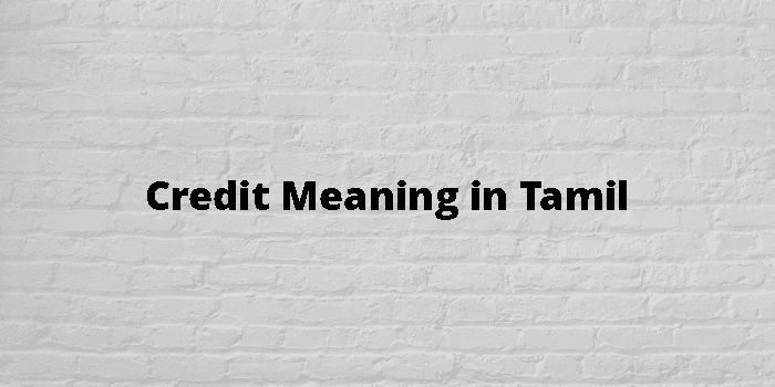 credit-meaning-in-tamil