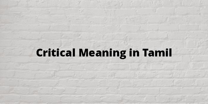 Critical Meaning In Tamil - தமிழ் அர்த்தம்