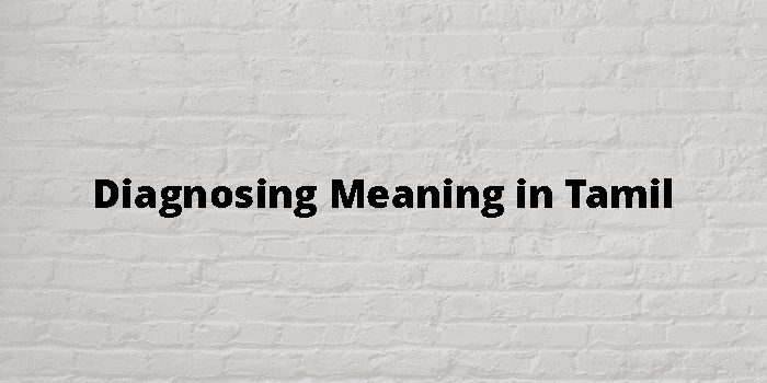 diagnosing-meaning-in-tamil