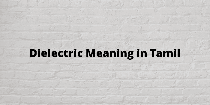 dielectric-meaning-in-tamil