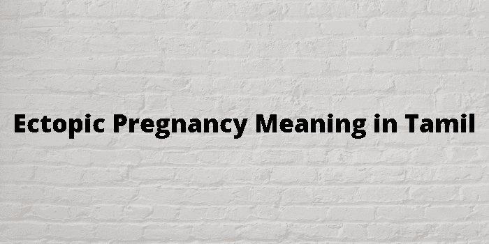 ectopic-pregnancy-meaning-in-tamil