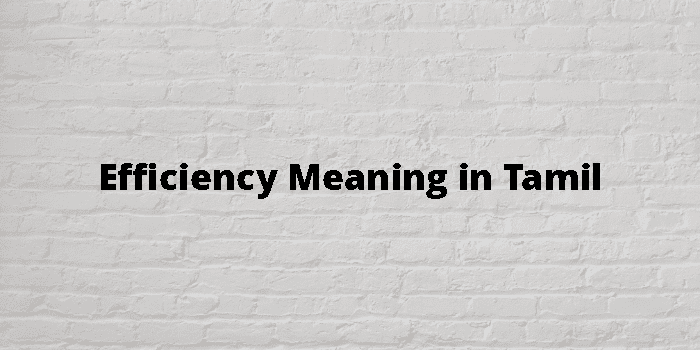 efficiency-meaning-in-tamil