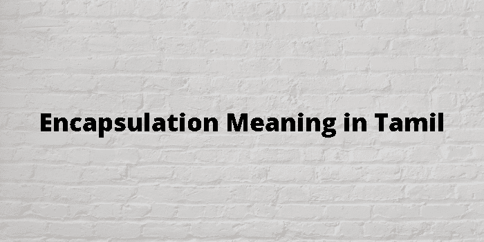 encapsulation-meaning-in-tamil