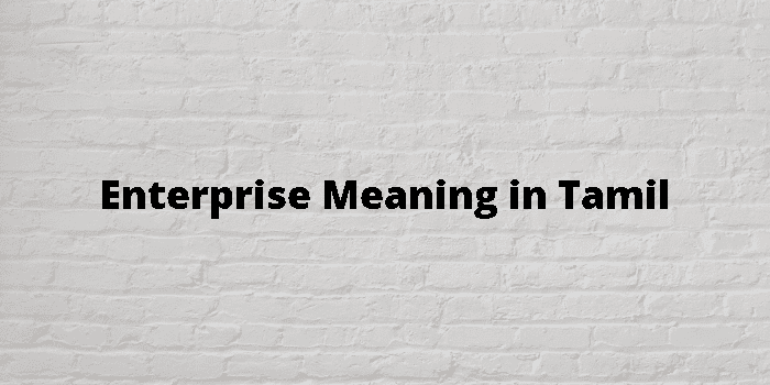 enterprise-meaning-in-tamil