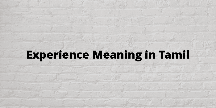 experience-meaning-in-tamil