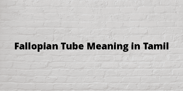 Tube Meaning In Tamil