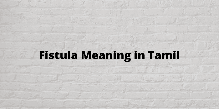 Fistula Meaning Tamil