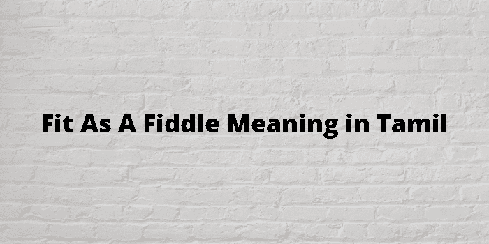 fit-as-a-fiddle-meaning-in-tamil