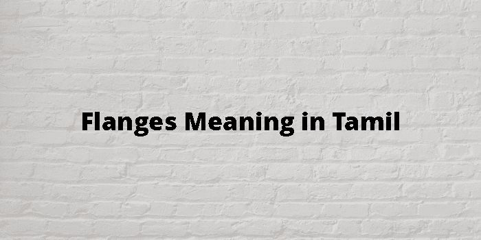 flanges-meaning-in-tamil