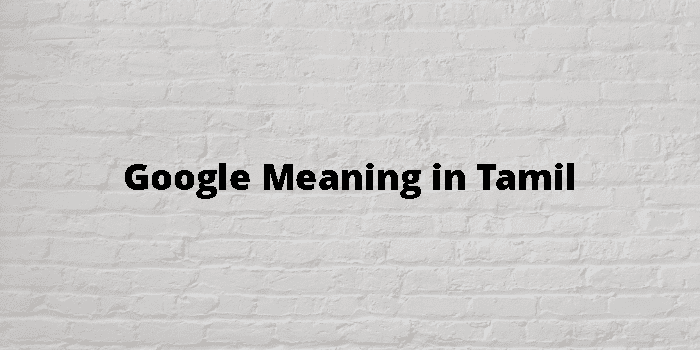 google-meaning-in-tamil
