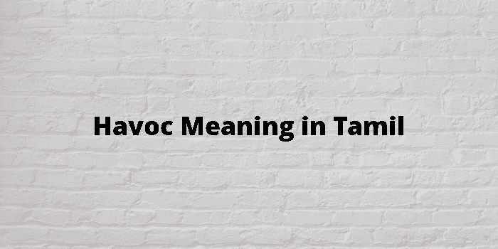 Havoc Meaning In Tamil