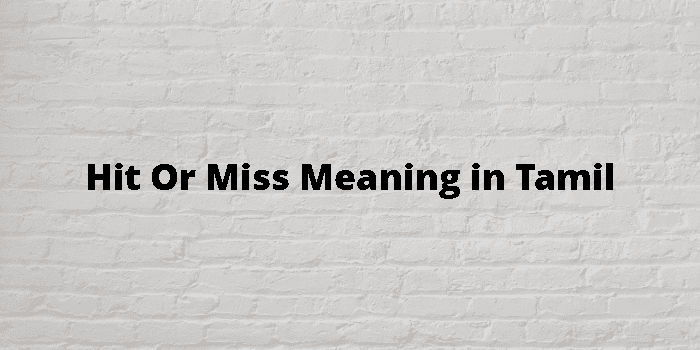 hit-or-miss-meaning-in-tamil