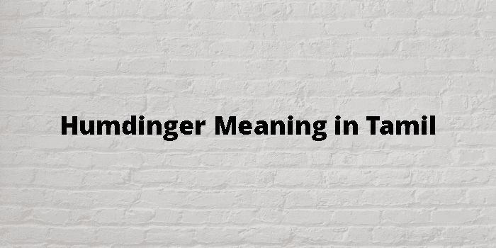 Humdinger Meaning In Tamil - தமிழ் அர்த்தம்
