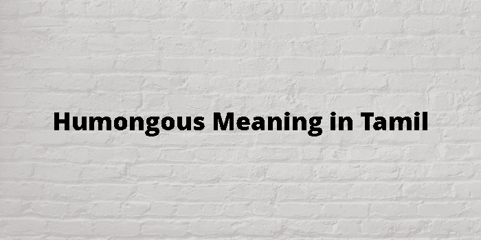 humongous-meaning-in-tamil