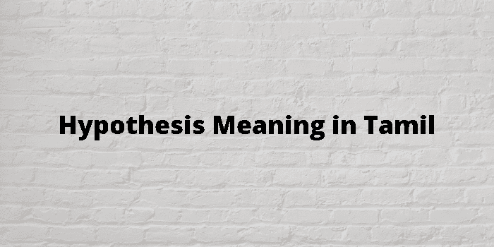 define hypothesis meaning in tamil
