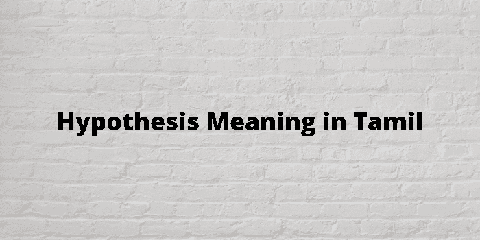 hypothesis english meaning in tamil