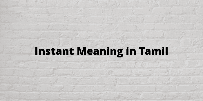 instant-meaning-in-tamil