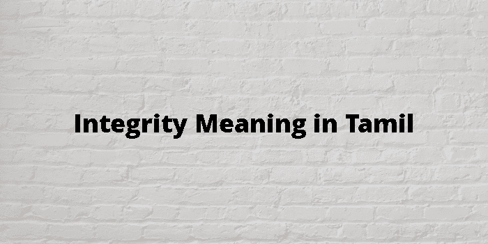 integrity-meaning-in-tamil