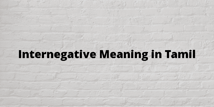 internegative-meaning-in-tamil