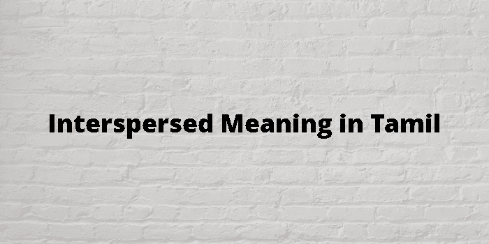 interspersed-meaning-in-tamil