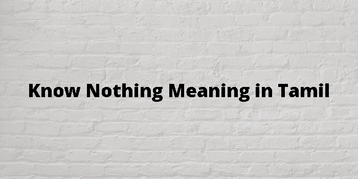 know-nothing-meaning-in-tamil