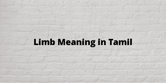 limb-meaning-in-tamil