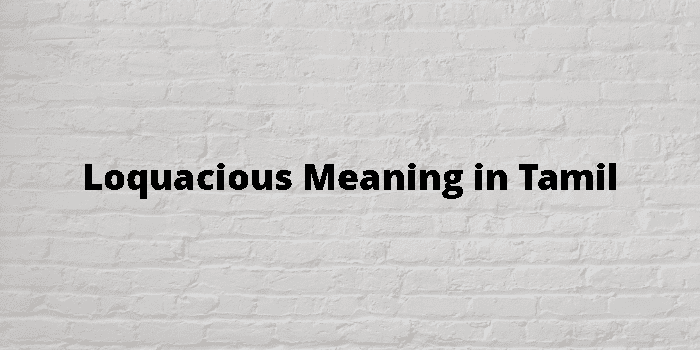 loquacious-meaning-in-tamil