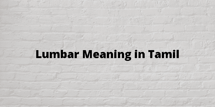 lumbar-meaning-in-tamil