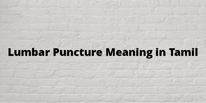 lumbar-puncture-meaning-in-tamil